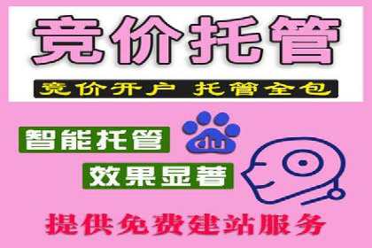 竞价账户如何开户：从理论到实践的成功案例